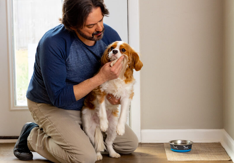 Man using Bravo Paper Towels to wipe up pet messes