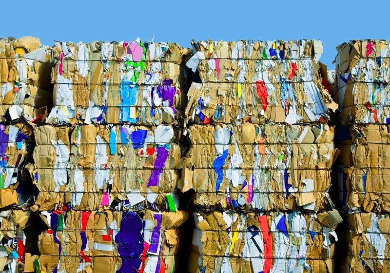 Recycled Materials that are used to make sustainable Bravo Paper Towels